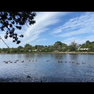 Meet your Posher, Kati